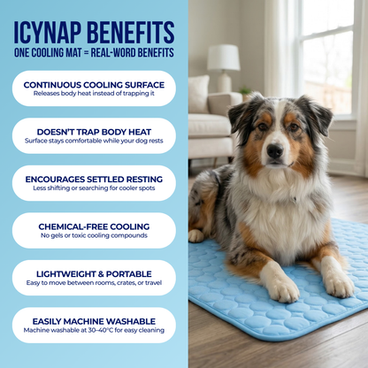 HelixMat™ Cooling Dog Mat