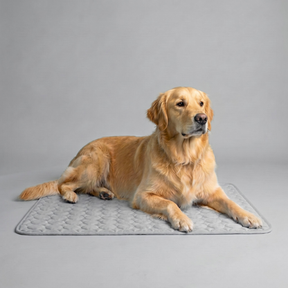 HelixMat™ Cooling Dog Mat