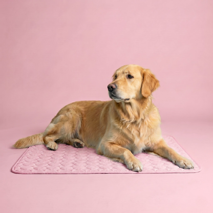 HelixMat™ Cooling Dog Mat